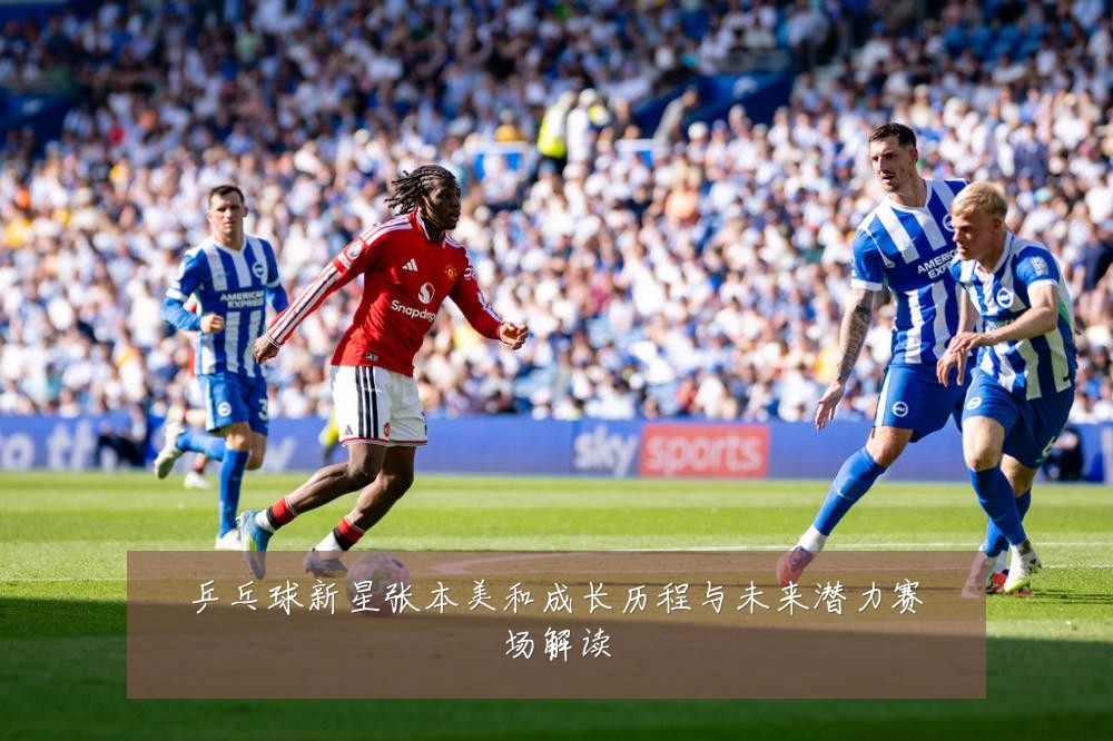 乒乓球新星张本美和成长历程与未来潜力赛场解读